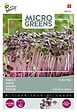 ARBORIX - Buzzy Microgreens Radis Daikon Rouge Semences - Ca. 5 gr (Livraison Gratuite) - vignette