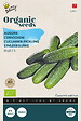 ARBORIX - Buzzy Organic Cornichon Profi F1 - Bio Semences - Ca. 8 graines (Livraison Gratuite) - vignette