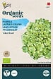 ARBORIX - Buzzy Organic Laitue à couper Salad Bowl - Bio Semences - Ca. 1 gr (Livraison Gratuite) - vignette