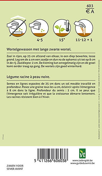 ARBORIX - Scorsonère Géante Améliorée - Ca. 5 gr (Livraison Gratuite) - large
