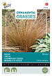 ARBORIX - Buzzy Ornamental Grasses Laîche 'Bronco' Semences - Ca. 10 graines (Livraison Gratuite) - vignette