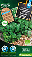 PROTECTA - Coriandre à petites graines Bio - Protecta Graines paysanne - Ca. 3 gr (Livraison Gratuite) - vignette