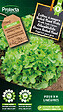 PROTECTA - Laitue à couper Salad Bowl Verte – Protecta Graines paysanne - Ca. 4 gr (Livraison Gratuite) - vignette