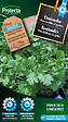 PROTECTA - Coriandre - Protecta Graines paysanne - Ca. 5 gr (Livraison Gratuite) - vignette
