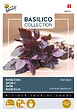 ARBORIX - Buzzy Basilic Dark Opal Semences - Ca. 1,5 gr (Livraison Gratuite) - vignette