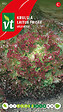 ARBORIX - Laitue Frisée Lollo Rossa - Ca. 2 gr (Livraison Gratuite) - vignette