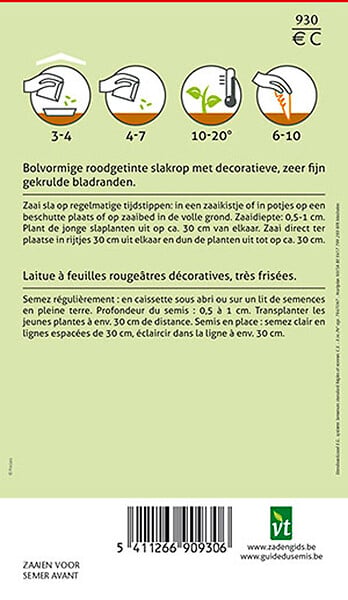 ARBORIX - Laitue Frisée Lollo Rossa - Ca. 2 gr (Livraison Gratuite) - large
