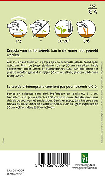ARBORIX - Laitue Reine De Mai - Ca. 3 gr (Livraison Gratuite) - large