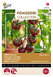 ARBORIX - Buzzy Pomodori Tomate à cerise Black Cherry Semences - Ca. 10 graines (Livraison Gratuite) - vignette