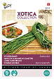 ARBORIX - Buzzy Xotica Haricot à rames Kilomètre Semences - Ca. 10 gr (Livraison Gratuite) - vignette