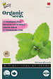 ARBORIX - Buzzy Organic Mélisse officinale - Bio Semences - Ca. 0,25 gr (Livraison Gratuite) - vignette