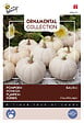 ARBORIX - Buzzy Ornamental Potiron Baby Boo Semences - Ca. 1 gr (Livraison Gratuite) - vignette