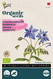 ARBORIX - Buzzy Organic Bourrache - Bio Semences - Ca. 1 gr (Livraison Gratuite) - vignette
