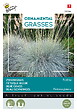 ARBORIX - Buzzy Ornamental Grasses Fétuque bleue 'Festina' Semences - Ca. 10 graines (Livraison Gratuite) - vignette