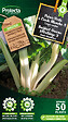 PROTECTA - Poirée Verte à Carde Blanche 3- Protecta Graines paysanne - Ca. 4 gr (Livraison Gratuite) - vignette