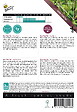 ARBORIX - Buzzy Xotica Broccoli sauvage rouge ou Hon Tsai Tai Semences - Ca. 1 gr (Livraison Gratuite) - vignette