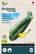 ARBORIX - Buzzy Organic Courgette Black Beauty- Bio Semences - Ca. 2 gr (Livraison Gratuite) - vignette