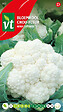 ARBORIX - Chou-Fleur Siria F1 Hybride - Ca. 0,3 gr (Livraison Gratuite) - vignette