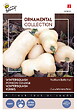 ARBORIX - Buzzy Ornamental Potiron-Courge Waltham Butternut Semences - Ca. 1,5 gr (Livraison Gratuite) - vignette
