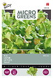 ARBORIX - Buzzy Microgreens laitue mélangée Semences - Ca. 1 gr (Livraison Gratuite) - vignette