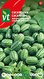 ARBORIX - Cucamelon Concombre Du Mexique - Ca. 15 graines (Livraison Gratuite) - vignette