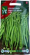 ARBORIX - Haricots Nains Nautica- Ca. 25 gr (Livraison Gratuite) - vignette
