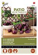 ARBORIX - Buzzy Patio Veggies Mini-Aubergine Patio Baby F1 Semences - Ca. 6 graines (Livraison Gratuite) - vignette
