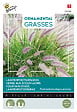 ARBORIX - Buzzy Ornamental Grasses Herbe aux écouvillons Semences - Ca. 0,1 gr (Livraison Gratuite) - vignette