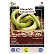 ARBORIX - Buzzy Ornamental Calebasse Italian Snake Semences - Ca. 2.5 gr (Livraison Gratuite) - vignette