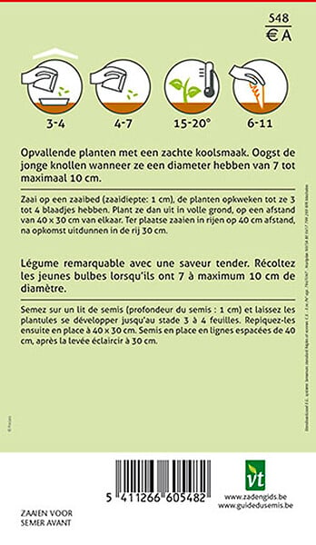 ARBORIX - Chou Rave Wener Blanc - Ca. 2 gr (Livraison Gratuite) - large