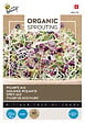 ARBORIX - Buzzy Organic Sprouting de Salad Piquant - Bio Semences - Ca. 30 gr (Livraison Gratuite) - vignette