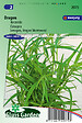 ARBORIX - Estragon Semences - Les Herbes aromatiques - Ca. 0,15 g (Livraison Gratuite) - vignette
