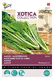 ARBORIX - Buzzy Xotica Moutarde vert de chine Semences - Ca. 3 gr (Livraison Gratuite) - vignette