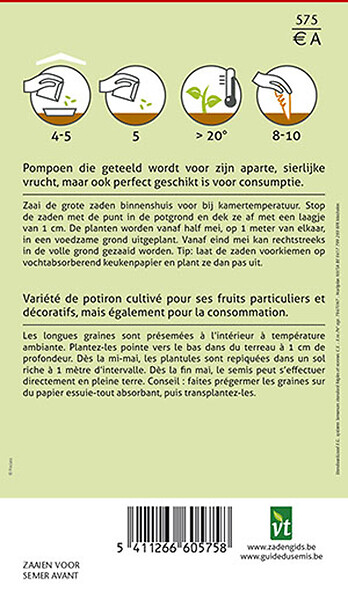 ARBORIX - Potiron Giraumon Bonnet Turc - Ca. 2 gr (Livraison Gratuite) - large