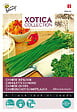 ARBORIX - Buzzy Xotica Ciboulette Chinoise Semences - Ca. 3 gr (Livraison Gratuite) - vignette