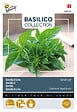 ARBORIX - Buzzy Basilic Small-leaf Semences - Ca. 1,5 gr (Livraison Gratuite) - vignette