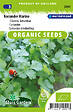 ARBORIX - Coriandre Marino Semences - Biologiques -  (Livraison Gratuite) - vignette