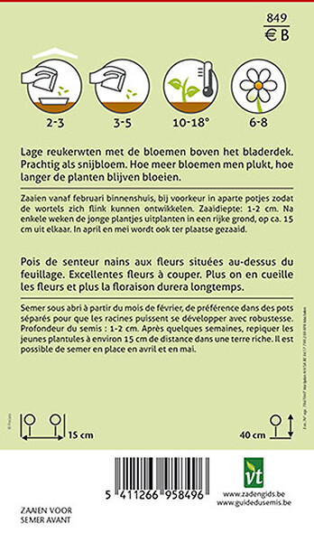 ARBORIX - Pois De Senteur Bijou - Ca. 4 gr (Livraison Gratuite) - large
