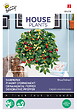 ARBORIX - Buzzy House Plants poivre ornemental dwarf mixture Semences - Ca. 0,5 gr (Livraison Gratuite) - vignette