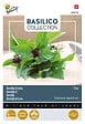 ARBORIX - Buzzy Basilic Thai Semences - Ca. 1,5 gr (Livraison Gratuite) - vignette