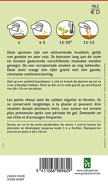 ARBORIX - Chou De Bruxelles Steadia F1 Hybride - Ca. 0,3 gr (Livraison Gratuite) - large