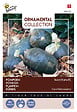 ARBORIX - Buzzy Ornamental Potiron Sweet Mama F1 Semences - Ca. 8 graines (Livraison Gratuite) - vignette