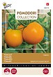 ARBORIX - Buzzy Pomodori Tomate Arancia Semences - Ca. 1,5 gr (Livraison Gratuite) - vignette