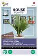 ARBORIX - Buzzy House Plants Californian palm Semences - Ca. 1 gr (Livraison Gratuite) - vignette