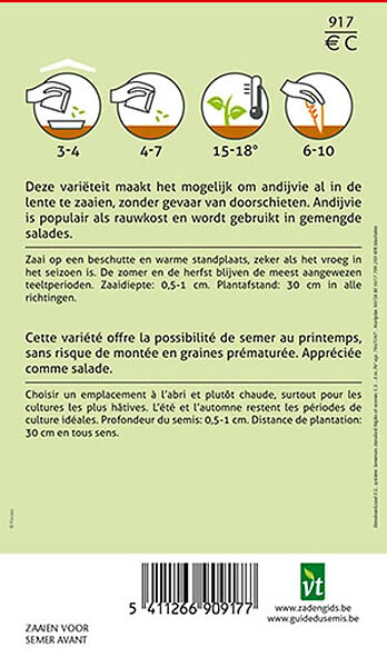 ARBORIX - Chicorée Tres Fine Maraichere - Ca. 1,5 gr (Livraison Gratuite) - large