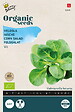 ARBORIX - Buzzy Organic Mâche à grosse graine - Bio Semences - Ca. 1,5 gr (Livraison Gratuite) - vignette