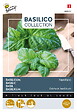 ARBORIX - Buzzy Basilic Napolitano Semences - Ca. 1,5 gr (Livraison Gratuite) - vignette