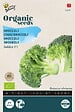 ARBORIX - Buzzy Organic Chou Brocoli Belstar F1 - Bio Semences - Ca. 25 graines (Livraison Gratuite) - vignette