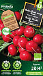 PROTECTA - Radis Rond rouge Saxa Bio - Protecta Graines paysanne - Ca. 8 gr (Livraison Gratuite) - vignette