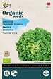ARBORIX - Buzzy Organic Endive Bio Buzzy Numéro Cinq 2 - Bio Semences - Ca. 1 gr (Livraison Gratuite) - vignette